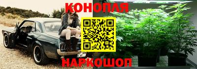 спиды Краснодар