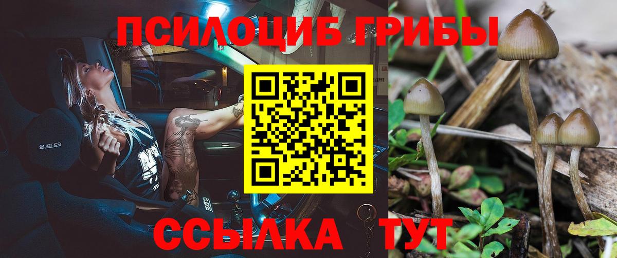 Каменск-Шахтинский  Галлюциногенные грибы Psilocybine cubensis  Вход с VPN  Галлюциногенные грибы GOLDEN TEACHER 